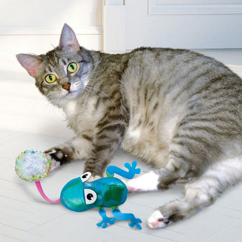KONG Flingaroo Frog Cat Toy - Poudre Pet and Feed Supply